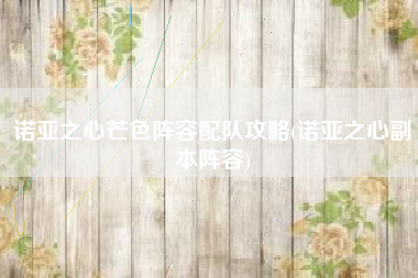 诺亚之心芒色阵容配队攻略(诺亚之心副本阵容)