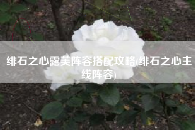 绯石之心露芙阵容搭配攻略(绯石之心主线阵容)