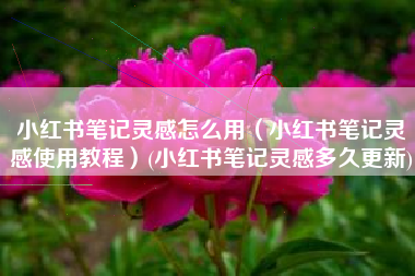 小红书笔记灵感怎么用（小红书笔记灵感使用教程）(小红书笔记灵感多久更新)