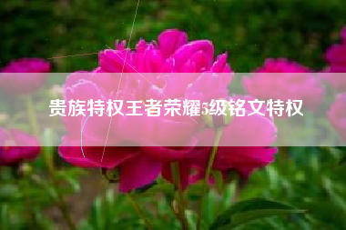 贵族特权王者荣耀5级铭文特权