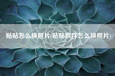 贴贴怎么换照片(贴贴软件怎么换照片)