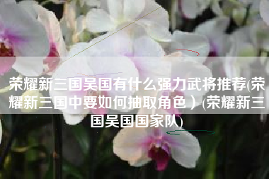 荣耀新三国吴国有什么强力武将推荐(荣耀新三国中要如何抽取角色）(荣耀新三国吴国国家队)