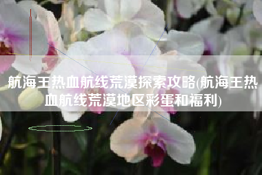 航海王热血航线荒漠探索攻略(航海王热血航线荒漠地区彩蛋和福利)