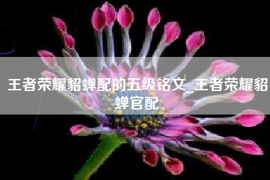 王者荣耀貂蝉配的五级铭文_王者荣耀貂蝉官配