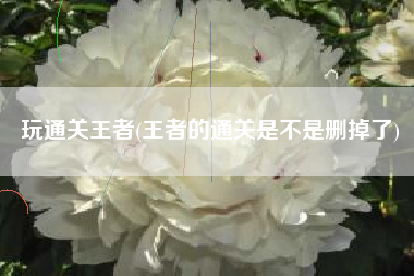 玩通关王者(王者的通关是不是删掉了)