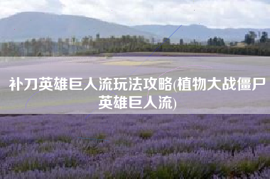 补刀英雄巨人流玩法攻略(植物大战僵尸英雄巨人流)
