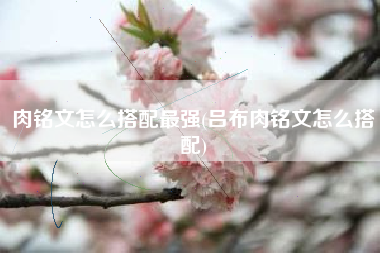 肉铭文怎么搭配最强(吕布肉铭文怎么搭配)