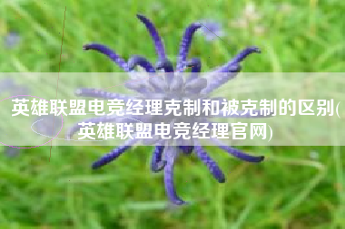 英雄联盟电竞经理克制和被克制的区别(英雄联盟电竞经理官网)