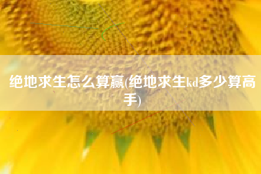绝地求生怎么算赢(绝地求生kd多少算高手)