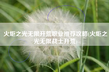 火炬之光无限开荒职业推荐攻略(火炬之光无限战士开荒)