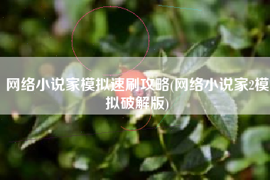 网络小说家模拟速刷攻略(网络小说家2模拟破解版)