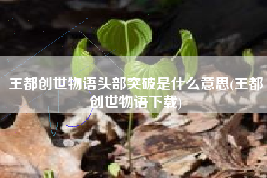 王都创世物语头部突破是什么意思(王都创世物语下载)