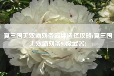 真三国无双霸刘备羁绊选择攻略(真三国无双霸刘备90级武器)