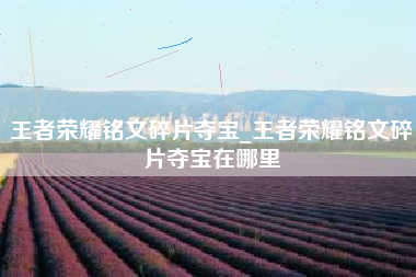 王者荣耀铭文碎片夺宝_王者荣耀铭文碎片夺宝在哪里