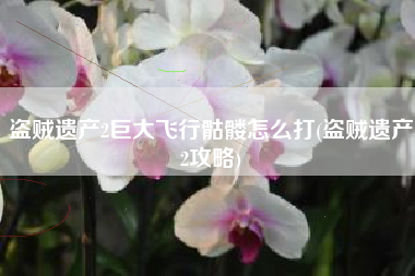 盗贼遗产2巨大飞行骷髅怎么打(盗贼遗产2攻略)