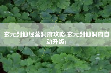 玄元剑仙经营洞府攻略(玄元剑仙洞府自动升级)