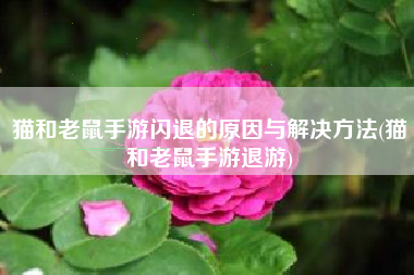 猫和老鼠手游闪退的原因与解决方法(猫和老鼠手游退游)