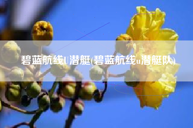 碧蓝航线U潜艇(碧蓝航线u潜艇队)