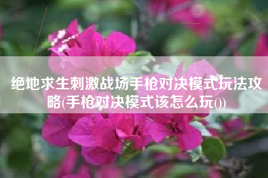 绝地求生刺激战场手枪对决模式玩法攻略(手枪对决模式该怎么玩())