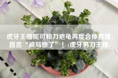 虎牙主播妮可和刀疤龟再度合体直播，直言“被骂惨了”！(虎牙男刀主播)