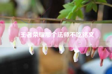 王者荣耀那个法师不吃铭文