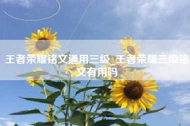 王者荣耀铭文通用三级_王者荣耀三级铭文有用吗