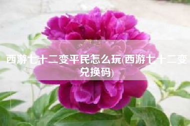 西游七十二变平民怎么玩(西游七十二变兑换码)