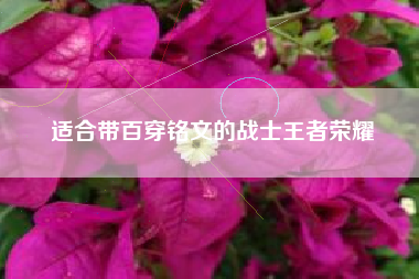 适合带百穿铭文的战士王者荣耀