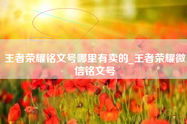 王者荣耀铭文号哪里有卖的_王者荣耀微信铭文号