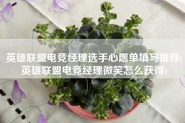 英雄联盟电竞经理选手心愿单填写推荐(英雄联盟电竞经理微笑怎么获得)
