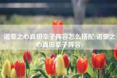 诺亚之心真田幸子阵容怎么搭配(诺亚之心真田幸子阵容)