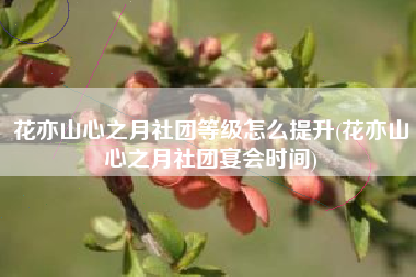 花亦山心之月社团等级怎么提升(花亦山心之月社团宴会时间)