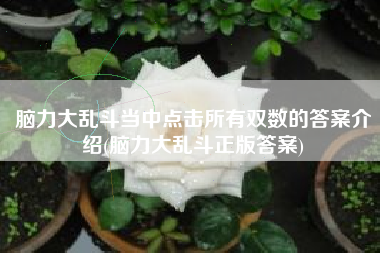 脑力大乱斗当中点击所有双数的答案介绍(脑力大乱斗正版答案)