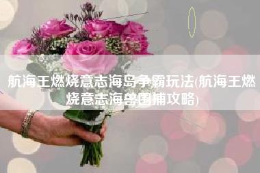 航海王燃烧意志海岛争霸玩法(航海王燃烧意志海兽围捕攻略)