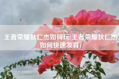 王者荣耀狄仁杰如何玩(王者荣耀狄仁杰如何快速发育)