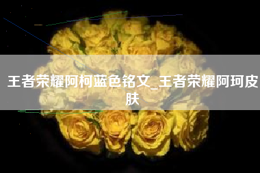 王者荣耀阿柯蓝色铭文_王者荣耀阿珂皮肤