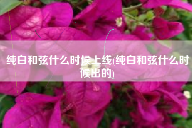 纯白和弦什么时候上线(纯白和弦什么时候出的)