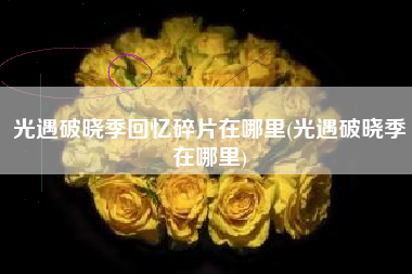 光遇破晓季回忆碎片在哪里(光遇破晓季在哪里)