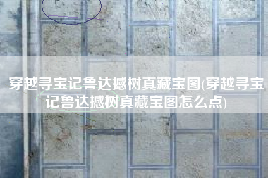 穿越寻宝记鲁达撼树真藏宝图(穿越寻宝记鲁达撼树真藏宝图怎么点)