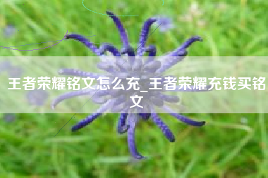 王者荣耀铭文怎么充_王者荣耀充钱买铭文