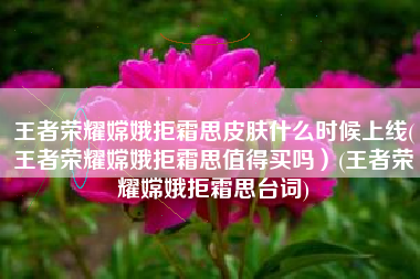 王者荣耀嫦娥拒霜思皮肤什么时候上线(王者荣耀嫦娥拒霜思值得买吗）(王者荣耀嫦娥拒霜思台词)
