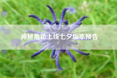 神秘角色上线七夕版本预告