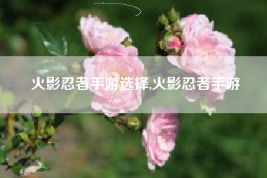 火影忍者手游选择,火影忍者手游