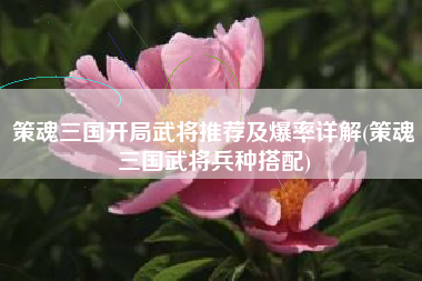 策魂三国开局武将推荐及爆率详解(策魂三国武将兵种搭配)