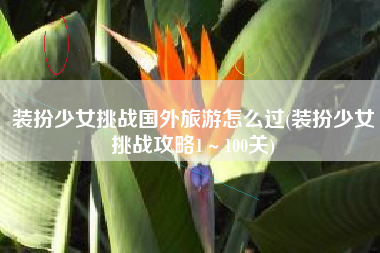 装扮少女挑战国外旅游怎么过(装扮少女挑战攻略1～100关)