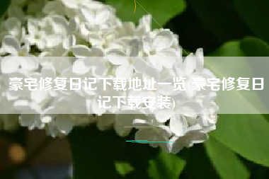 豪宅修复日记下载地址一览(豪宅修复日记下载安装)