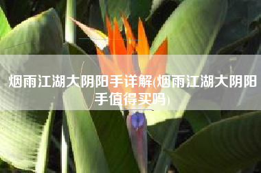 烟雨江湖大阴阳手详解(烟雨江湖大阴阳手值得买吗)