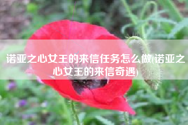诺亚之心女王的来信任务怎么做(诺亚之心女王的来信奇遇)