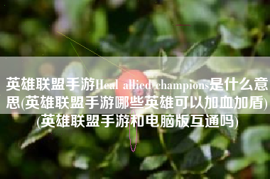英雄联盟手游Heal allied champions是什么意思(英雄联盟手游哪些英雄可以加血加盾)(英雄联盟手游和电脑版互通吗)