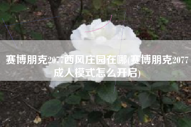 赛博朋克2077西风庄园在哪(赛博朋克2077成人模式怎么开启)